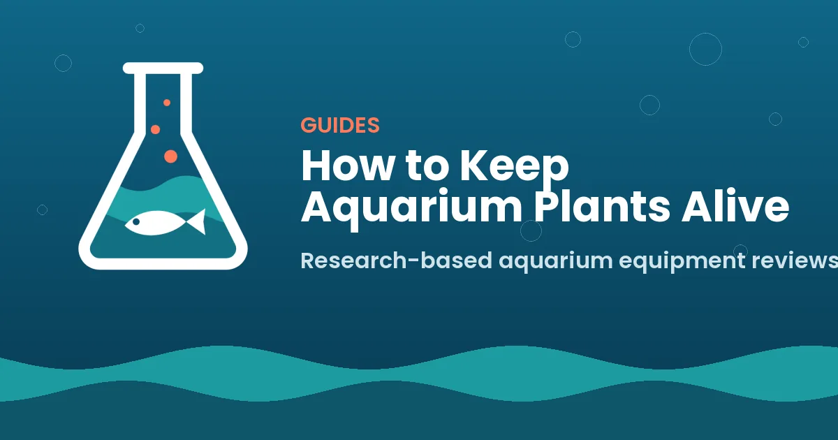 How to Keep Aquarium Plants Alive