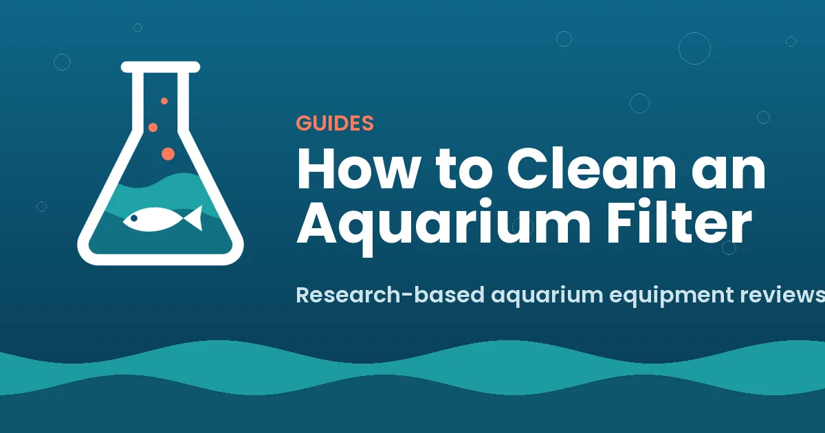 How to Clean an Aquarium Filter