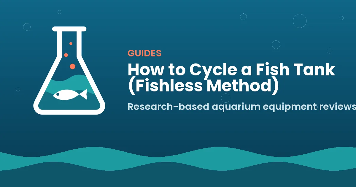 How to Cycle a Fish Tank (Fishless Method)