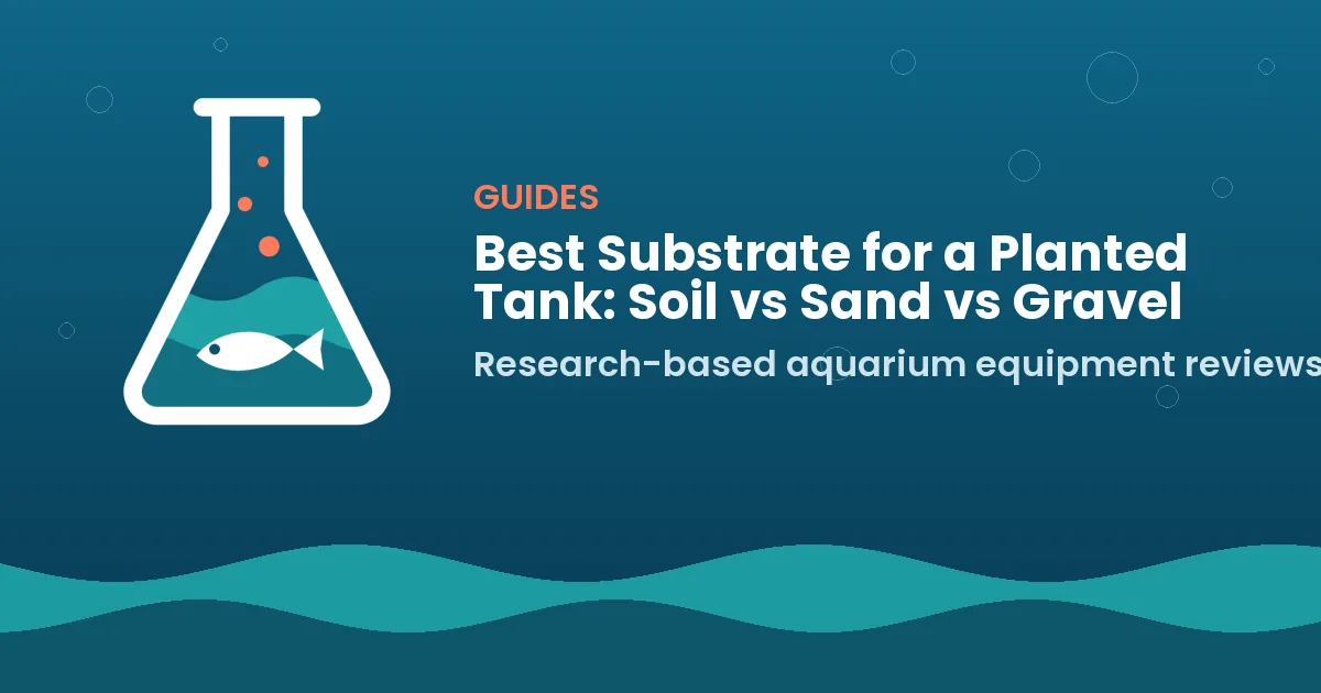 Best Substrate for a Planted Tank: Soil vs Sand vs Gravel