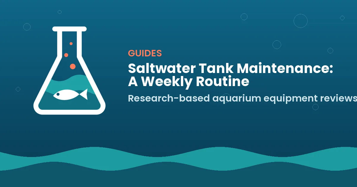 Saltwater Tank Maintenance: A Weekly Routine