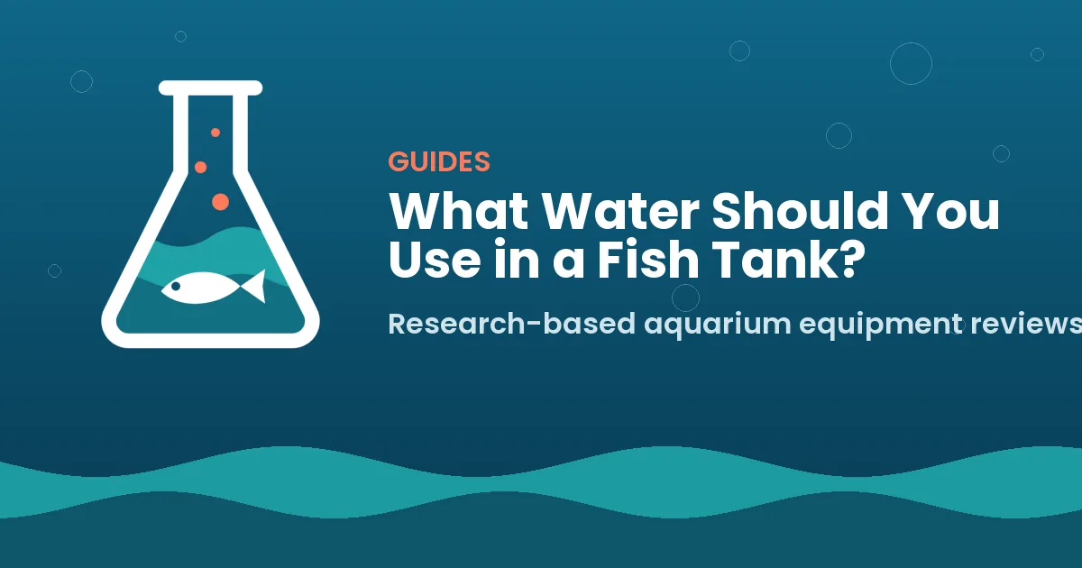 What Water Should You Use in a Fish Tank?